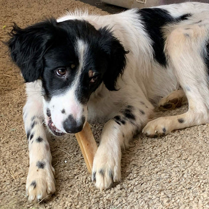 K2 Yak Chews Natural Dog Treats Small 30-40g