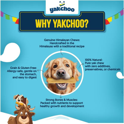 Yakchoo Himalayan Yak Cheese Dog Chews – Medium 70g - 3pk