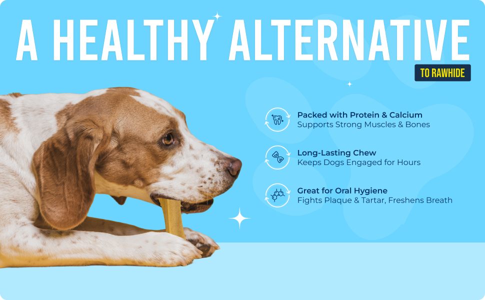 Yakchoo Himalayan Yak Cheese Dog Chews – Medium 70g - 3pk