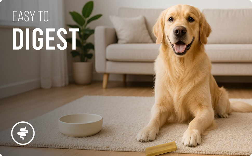 Yakchoo Himalayan Yak Cheese Dog Chews – X-Large 150g - 1pk