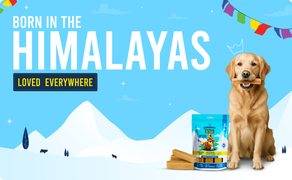 Yakchoo Himalayan Yak Cheese Dog Chews – Large 130g - 2pk