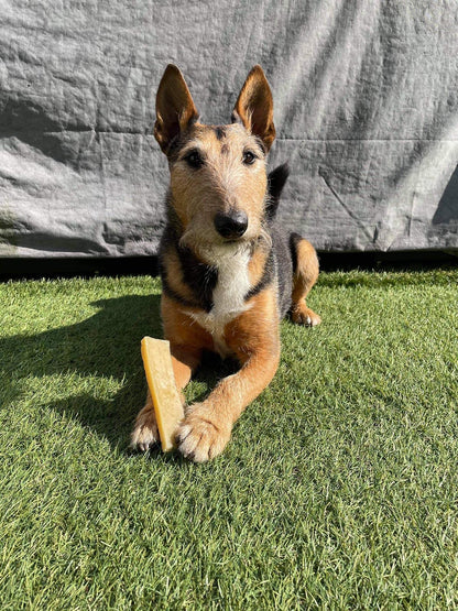 K2 Yak Chews Natural Dog Treats Small 30-40g