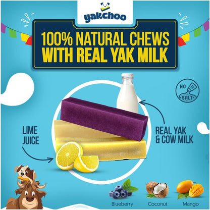Yakchoo Himalayan Yak Cheese Dog Chews – Medium 70g - Blueberry Coconut & Mango 3pk